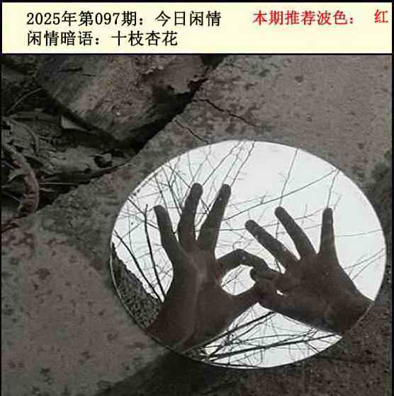 六合彩097期今日闲情2