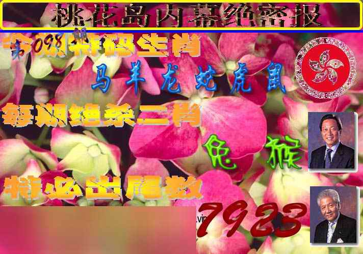 六合彩098期桃花岛内幕报
